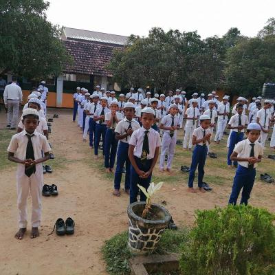 326343334 809719023830686 4687267936576151674 N X Thumb